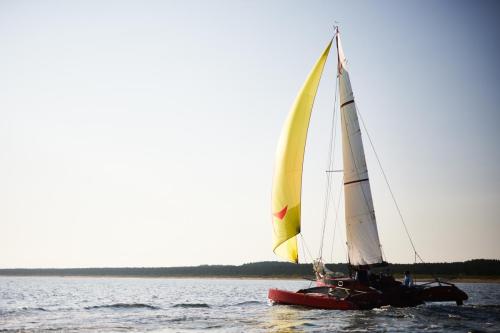 Internet Libertlist 064 RH